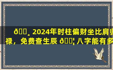 🌸 2024年时柱偏财坐比肩归禄，免费查生辰 🐦 八字能有多精准